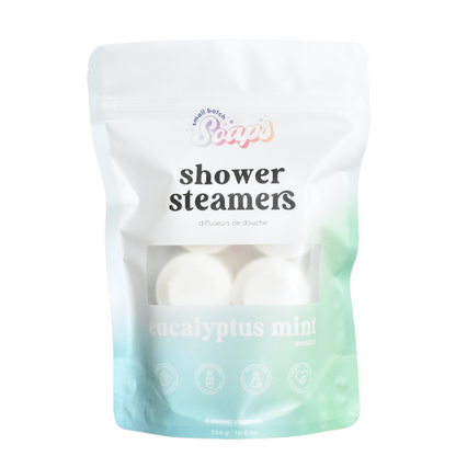 Eucalyptus Mint Shower Steamers - Small Batch Soaps